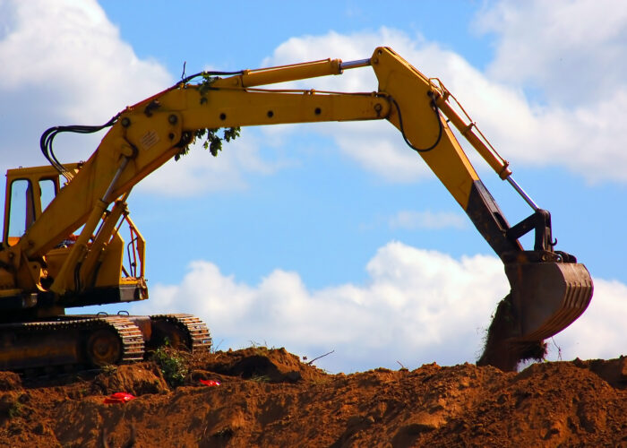 Development